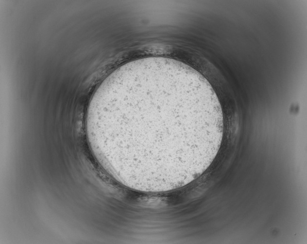 X0000112740553200910011223