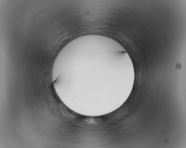 X0000112740558200910011223