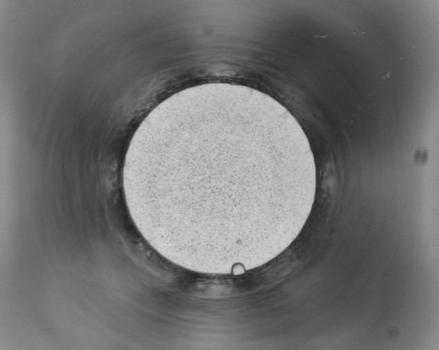 X0000112740559200910011223