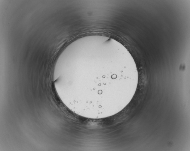 X0000112740560200910011223