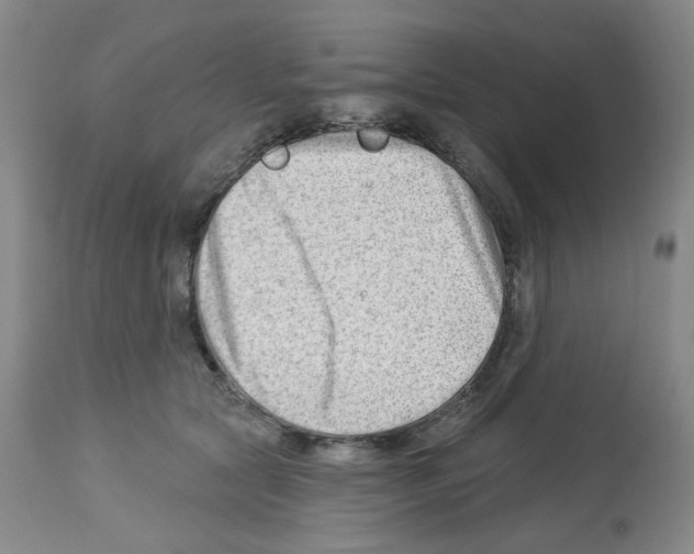 X0000112740561200910011223