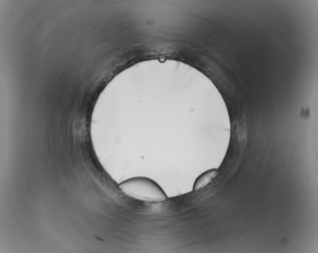 X0000112740564200910011223