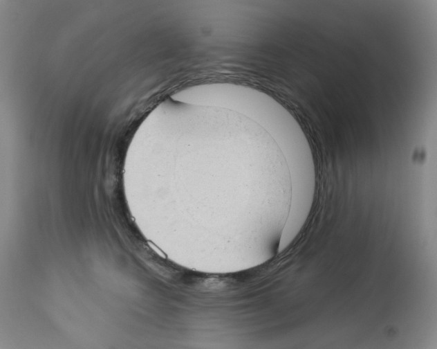 X0000112740566200910011223