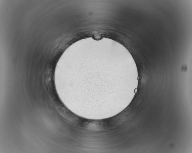 X0000112740567200910011223