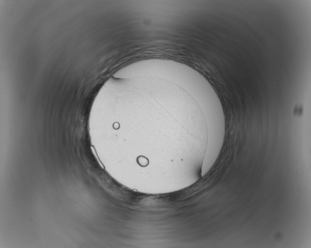 X0000112740568200910011223