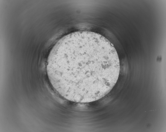 X0000112740573200910011223