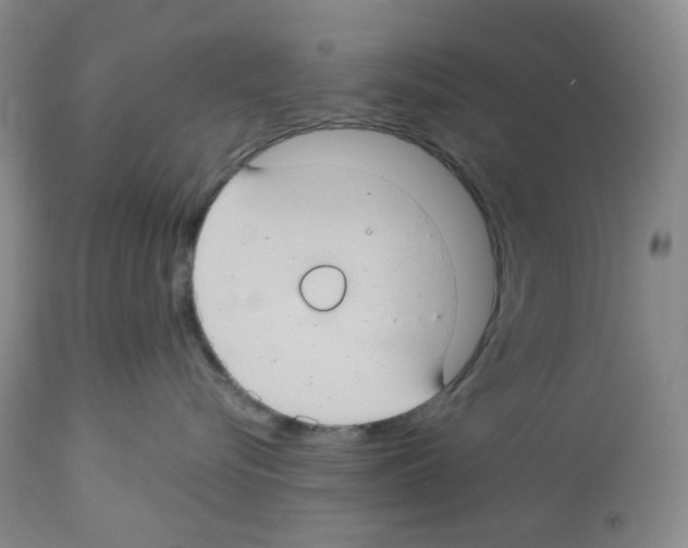 X0000112740576200910011223