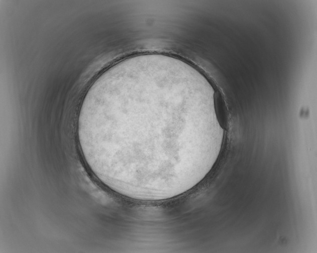 X0000112740577200910011223