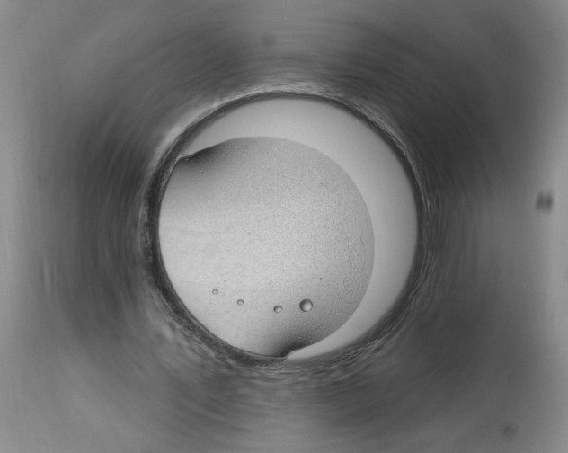 X0000112740579200910011223