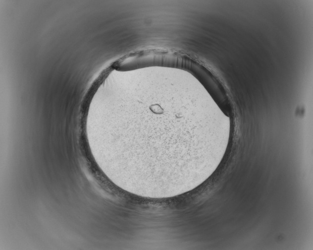 X0000112740580200910011223