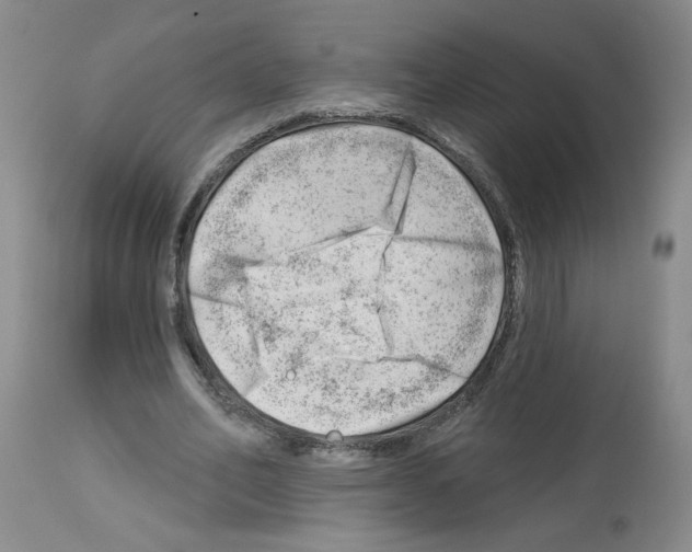 X0000112740582200910011223