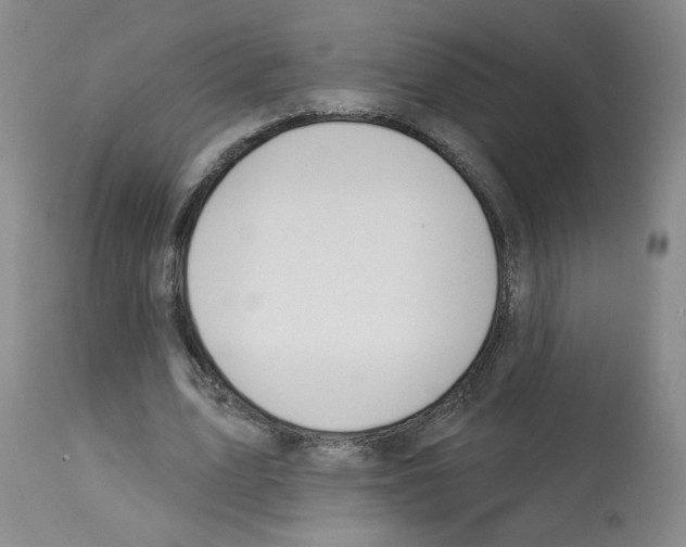 X0000112740583200910011223