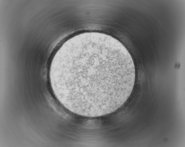 X0000112740584200910011223