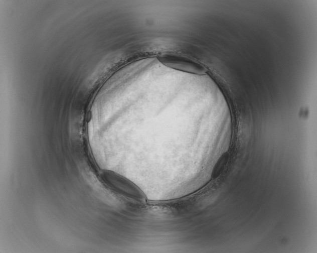 X0000112740585200910011223