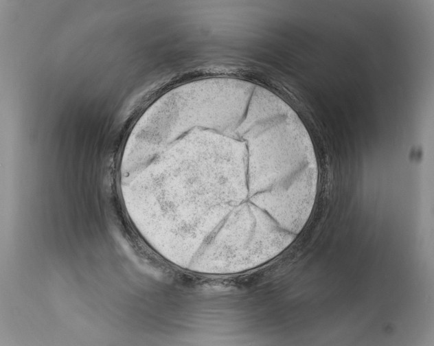 X0000112740586200910011223