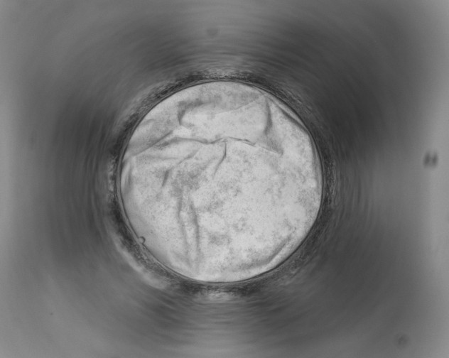 X0000112740590200910011222