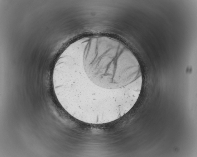 X0000112740592200910011222