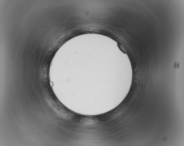 X0000112740597200910011222