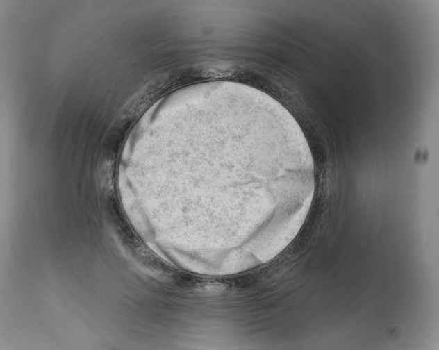 X0000112740598200910011222