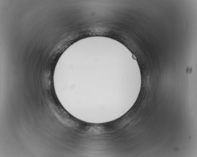 X0000112740599200910011222