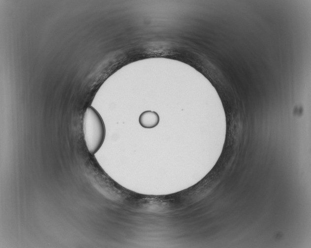 X0000112740601200910011222