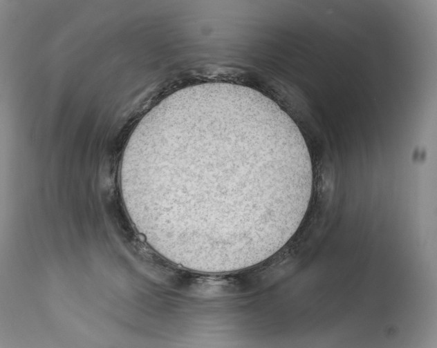 X0000112740607200910011222