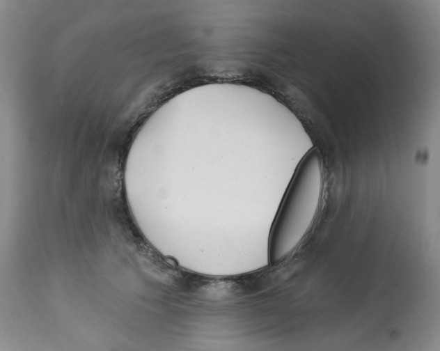 X0000112740609200910011222