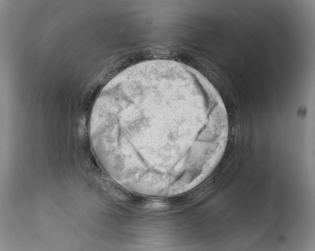 X0000112740610200910011222