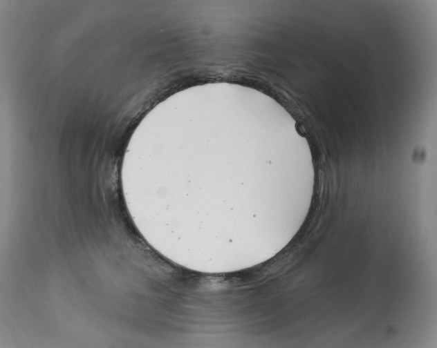 X0000112740613200910011222