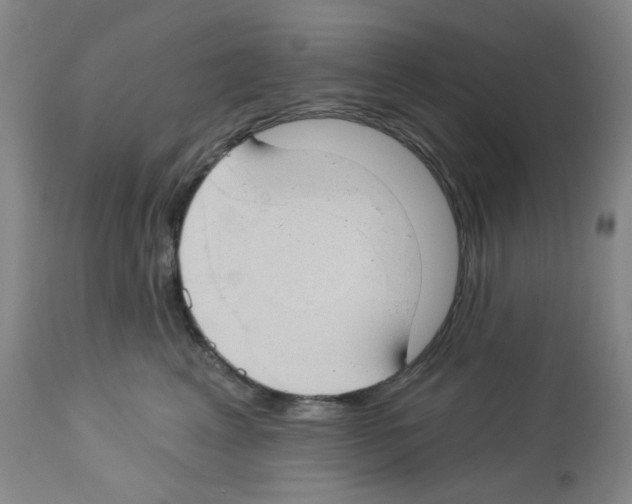 X0000112740617200910011222