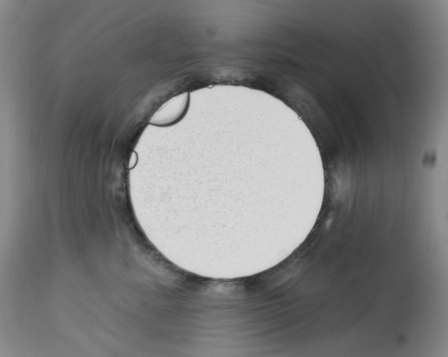 X0000112740619200910011222