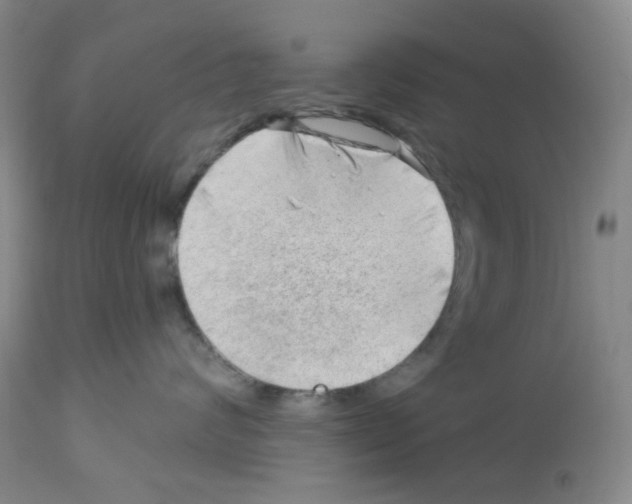 X0000112740624200910011222