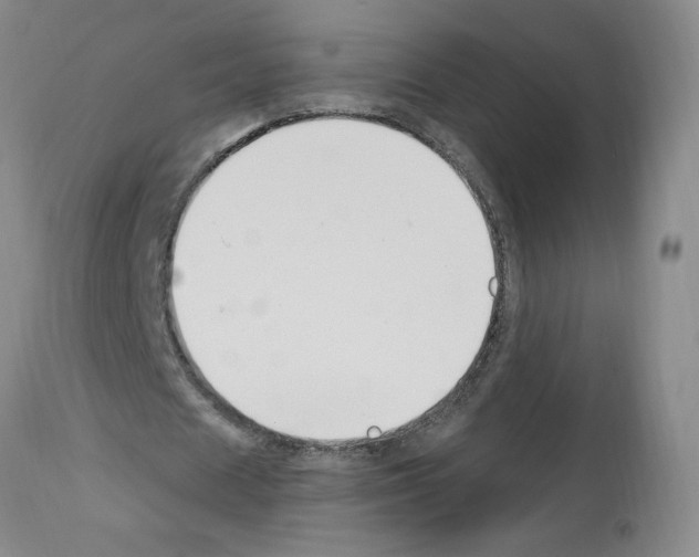 X0000112740625200910011221