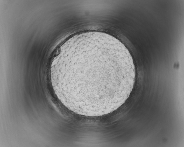 X0000112740626200910011221