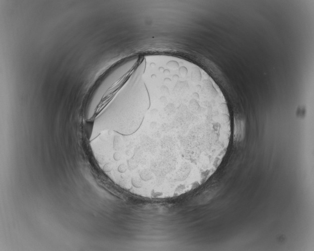 X0000112740627200910011221