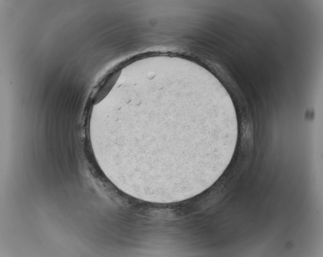 X0000112740628200910011221