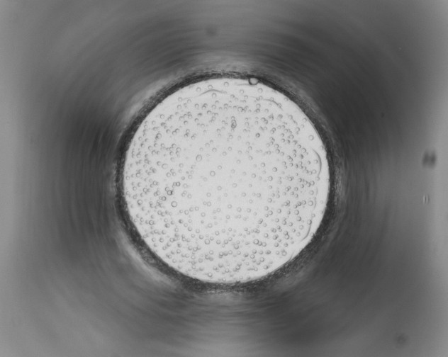 X0000112740629200910011221