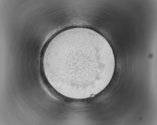 X0000112740630200910011221