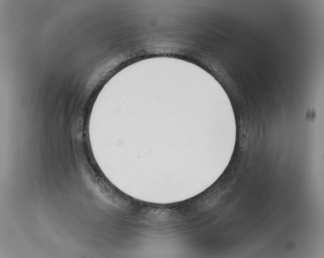 X0000112740631200910011221