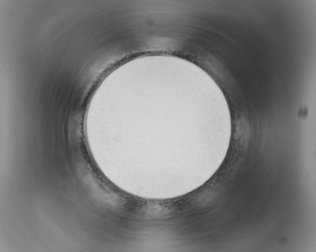 X0000112740632200910011221