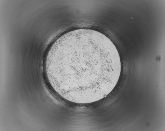 X0000112740634200910011221