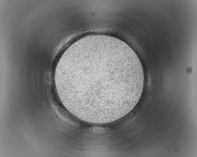 X0000112740636200910011221