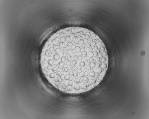 X0000112740638200910011221