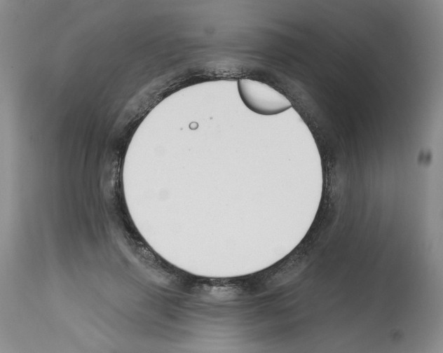 X0000112740645200910011221