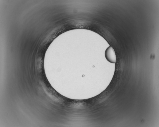 X0000112740646200910011221