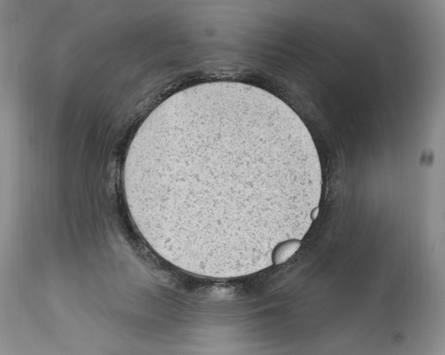 X0000112740647200910011221