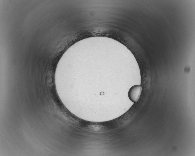 X0000112740654200910011222