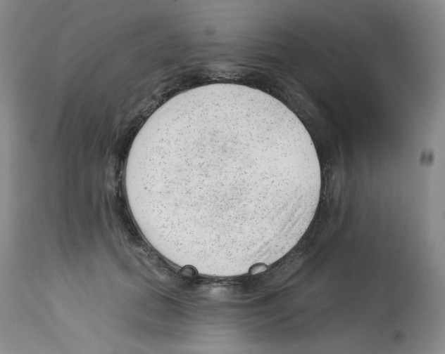 X0000112740655200910011222