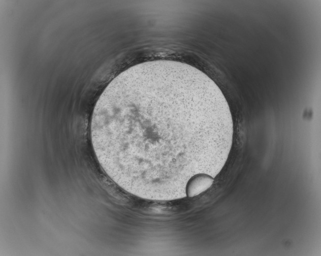 X0000112740657200910011222