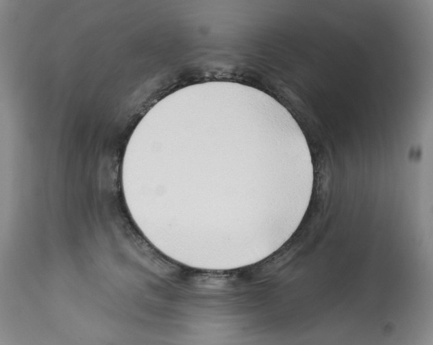 X0000112740661200910011222